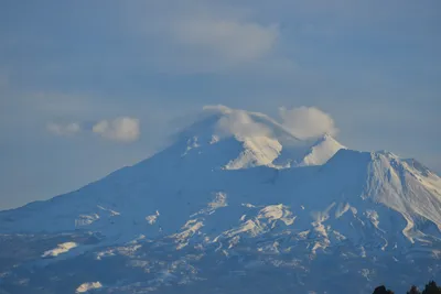 DSC_6007 (Large).JPG